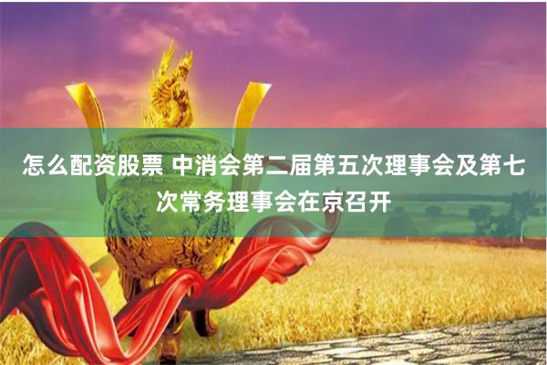 怎么配资股票 中消会第二届第五次理事会及第七次常务理事会在京召开